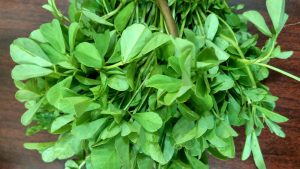 fenugreek